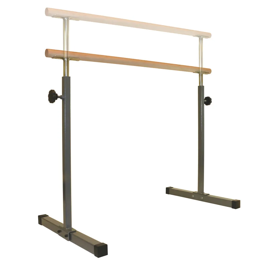 GoBarre Workout Set